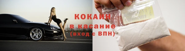 прущие грибы Киреевск
