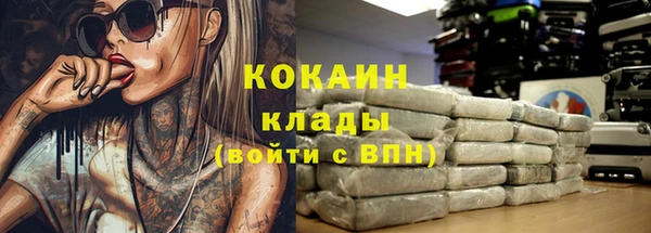 прущие грибы Киреевск