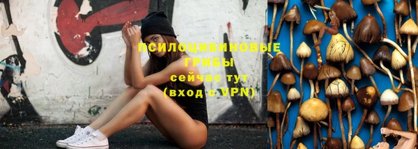 а пвп мука Корсаков