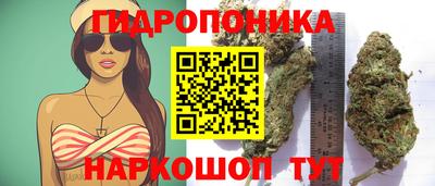 индика Комсомольск-на-Амуре