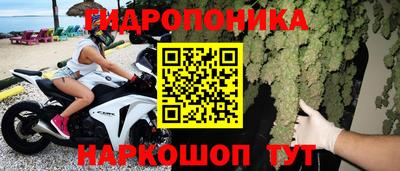 индика Комсомольск-на-Амуре