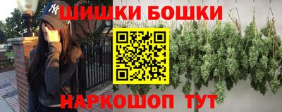 индика Комсомольск-на-Амуре
