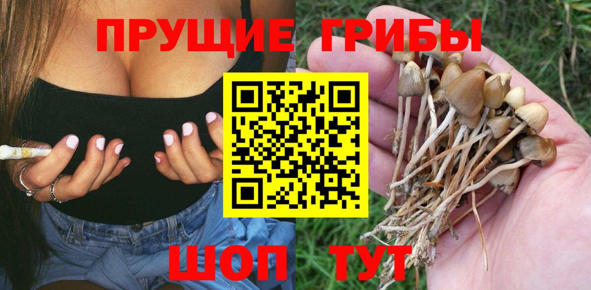 Псилоцибиновые грибы Magic Shrooms  наркота  Кинешма  Вход с VPN 